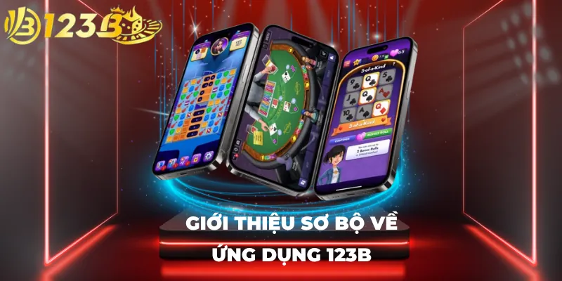 Giới thiệu sơ bộ về ứng dụng 123B